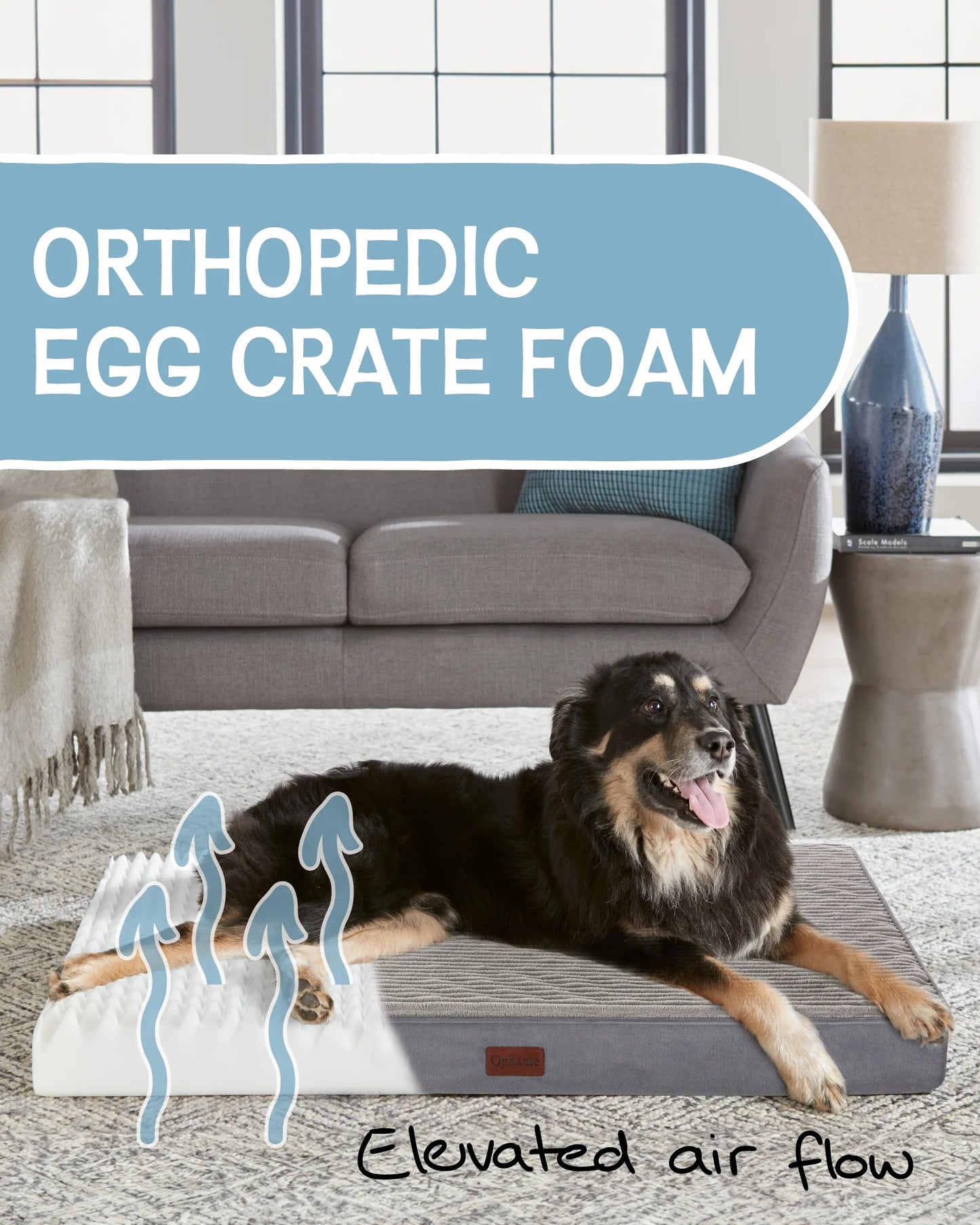 41In Gray Orthopedic Dog Bed for Large Dogs with Egg Crate Foam Support and Non-Slip Bottom, Waterproof and Machine Washable Removable Pet Bed Cover,Xl Size(41"X28"X4")