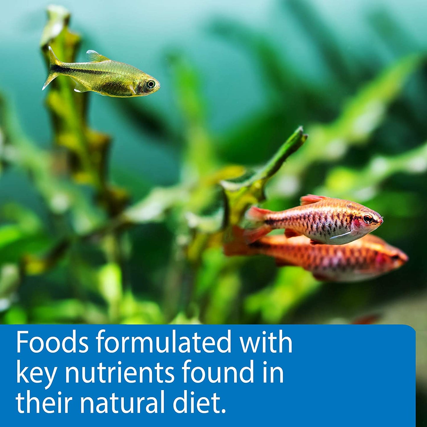 TROPICAL PELLETS Sinking Pellets Fish Food