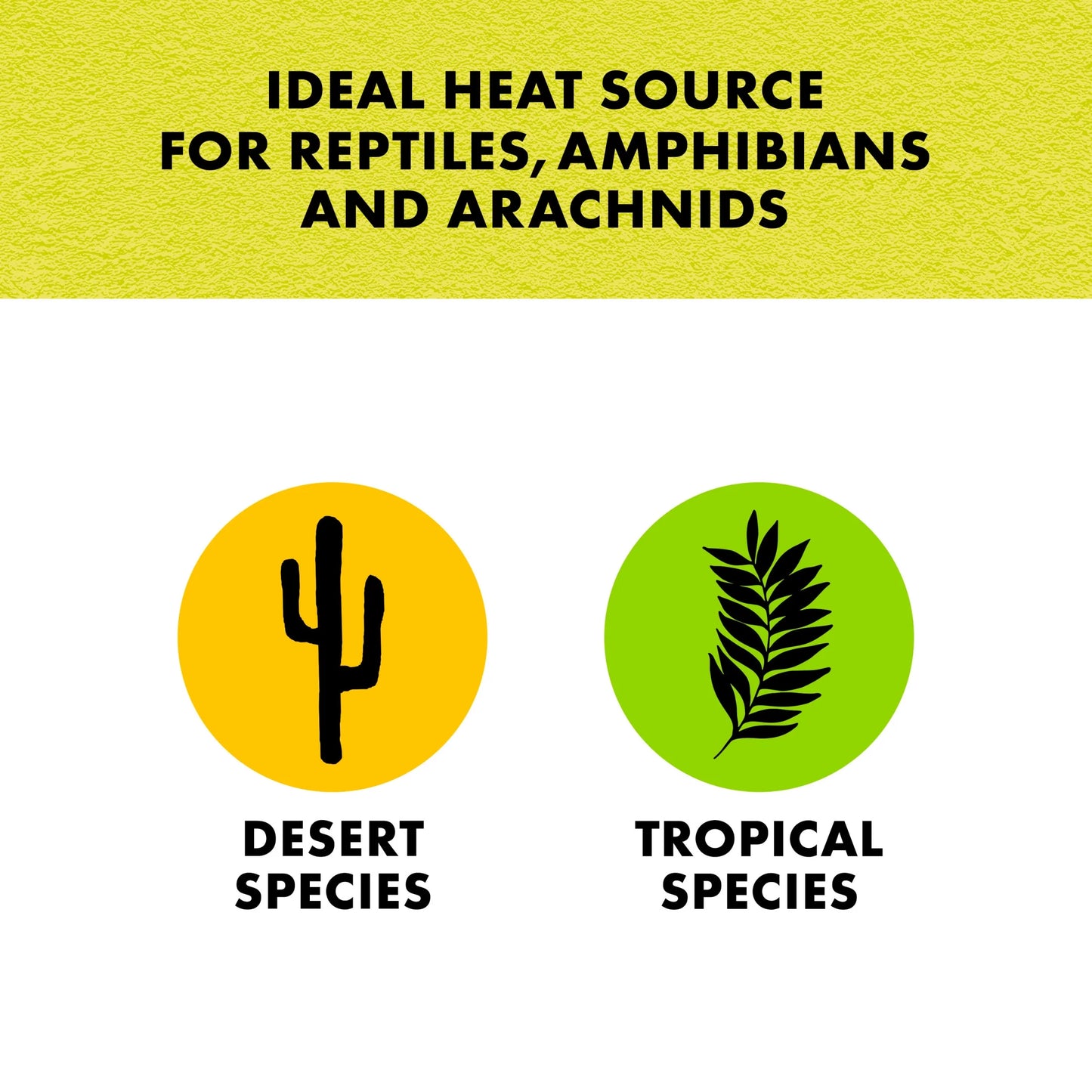 Terrarium Heat Mat for Reptiles, Black, Mini, 1-5 Gallon, 4 Watt