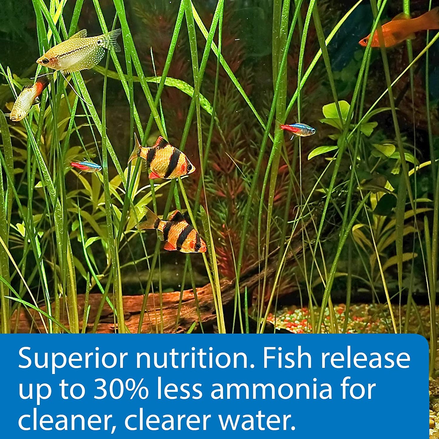 TROPICAL PELLETS Sinking Pellets Fish Food
