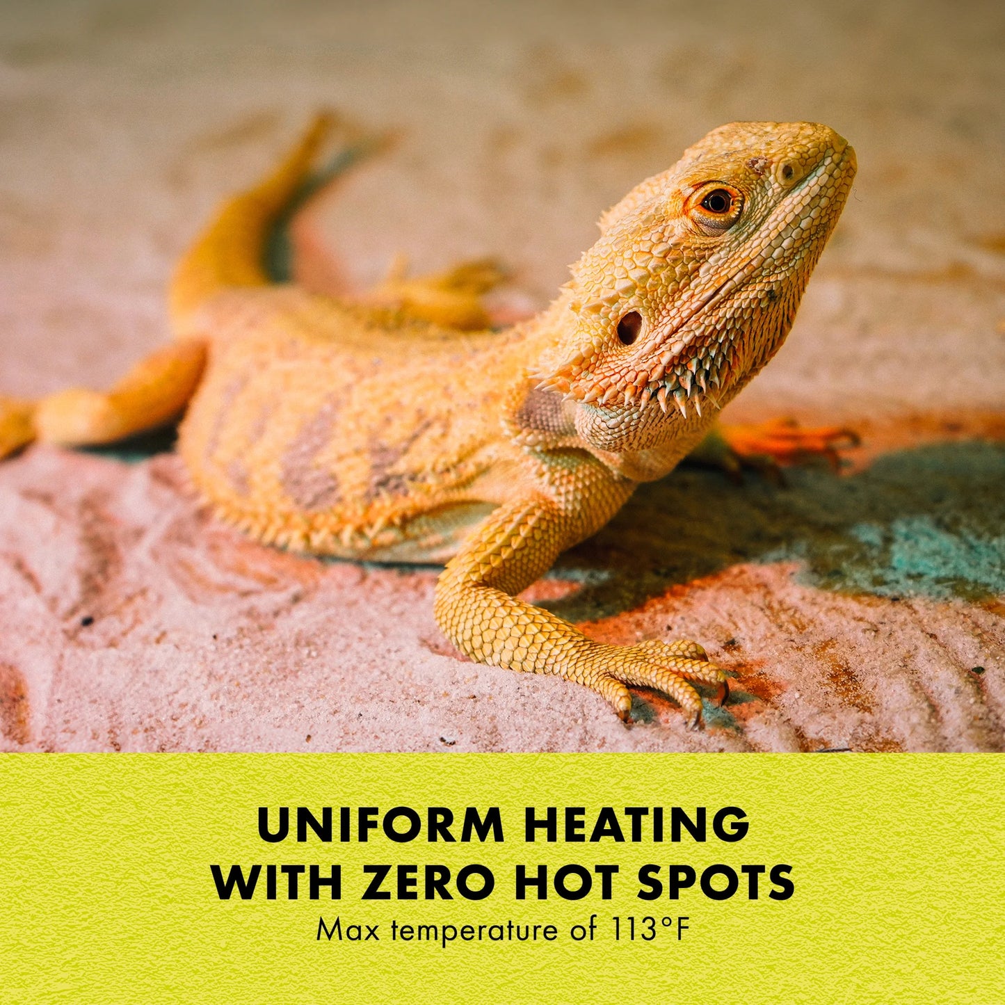 Terrarium Heat Mat for Reptiles, Black, Mini, 1-5 Gallon, 4 Watt