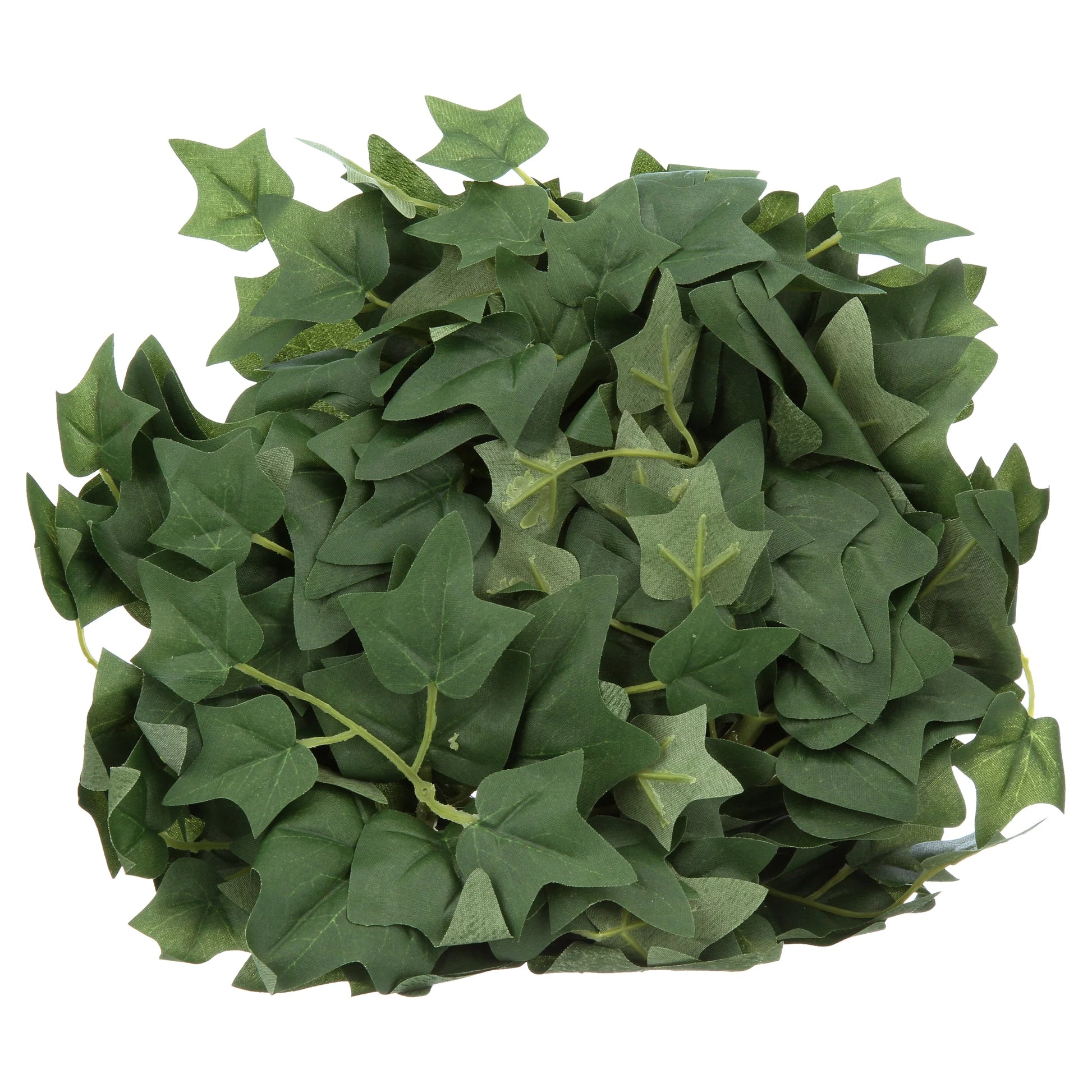 English Ivy Repta Vines Reptile Food