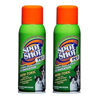 Pet Instant Carpet Stain & Odor Eliminator Spray, 14 Oz (Pack of 2)