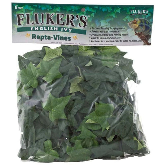 English Ivy Repta Vines Reptile Food