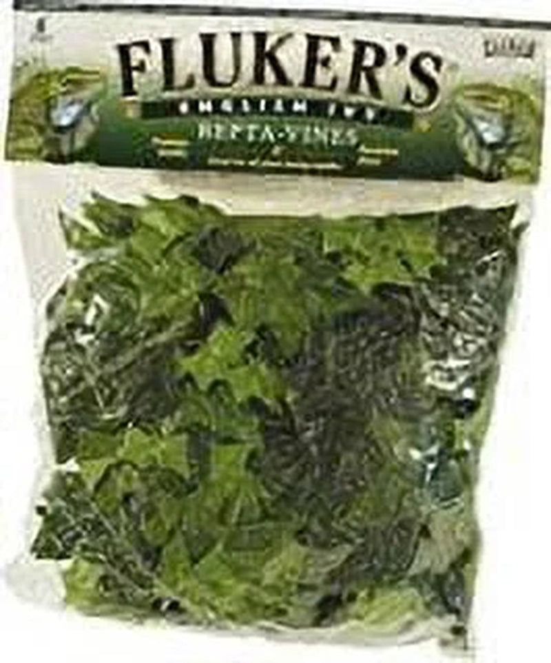 English Ivy Repta Vines Reptile Food