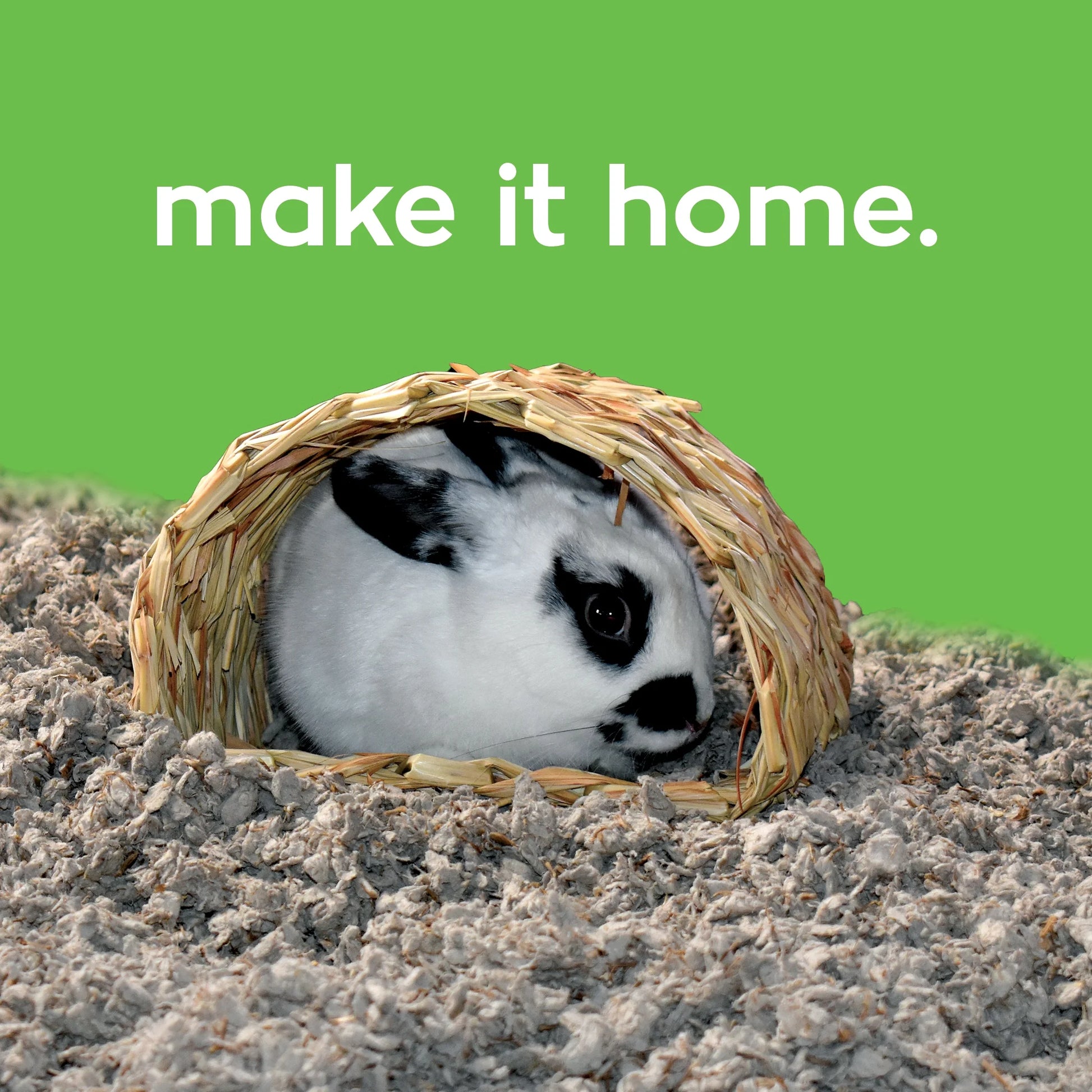 Pet Bedding for Small Animals