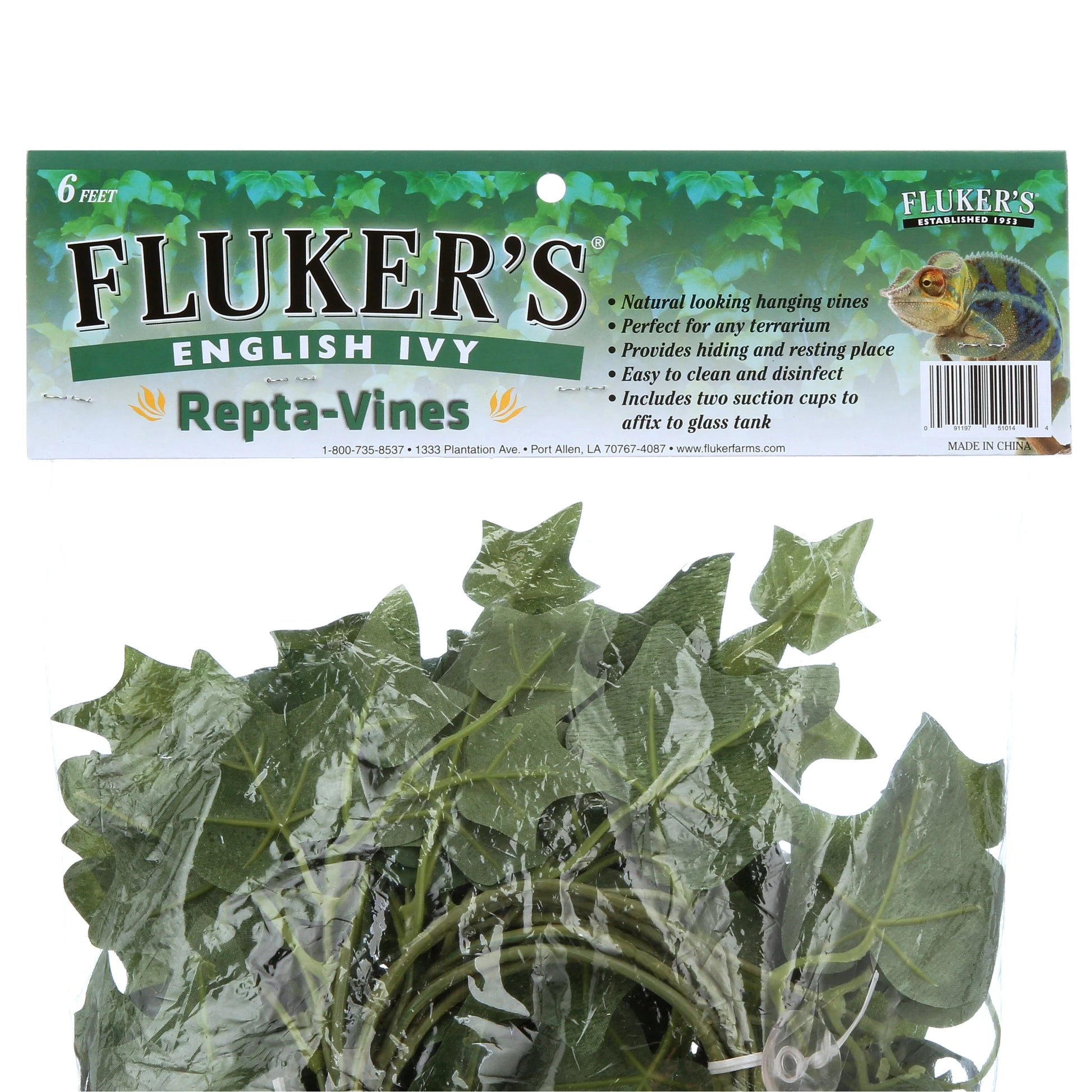 English Ivy Repta Vines Reptile Food