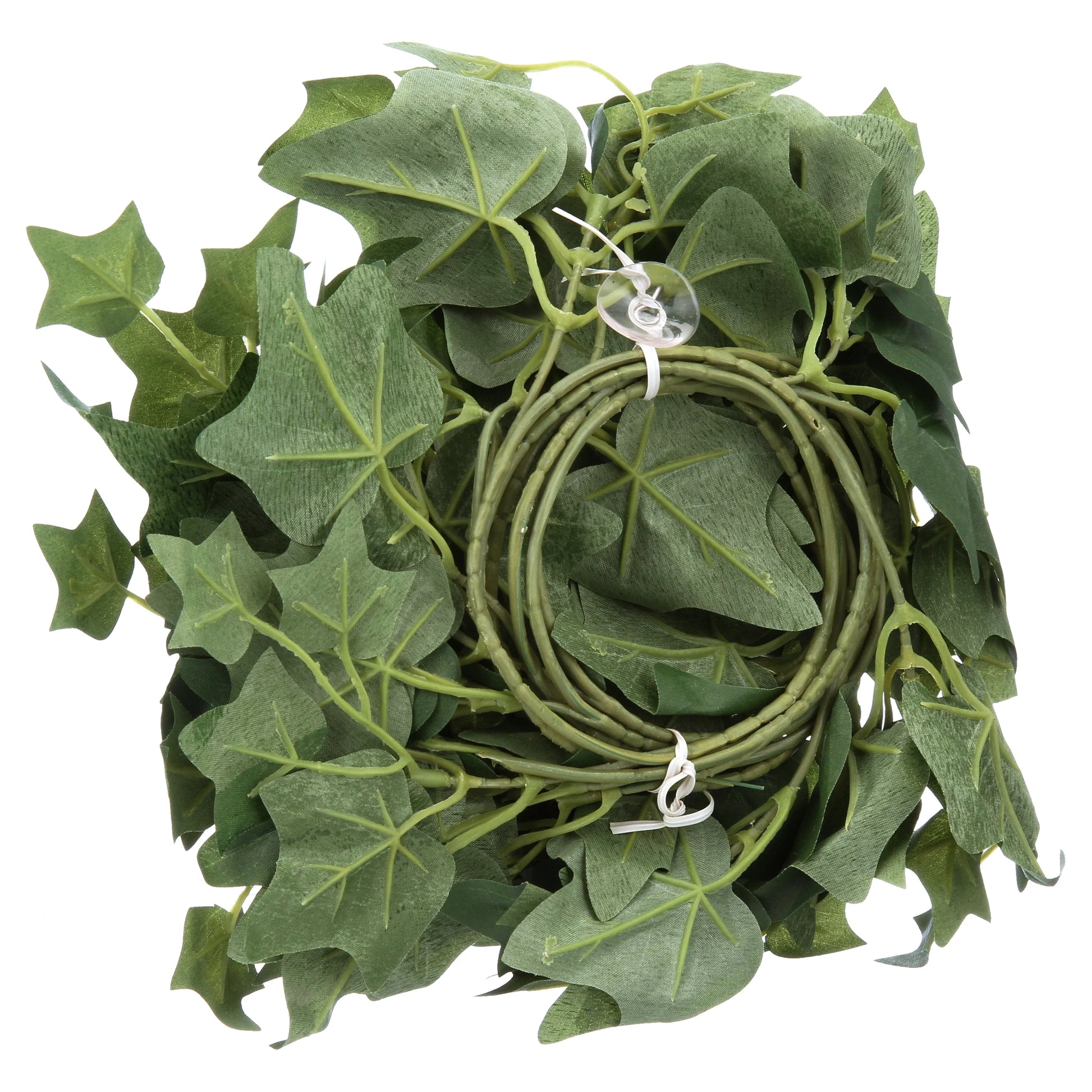 English Ivy Repta Vines Reptile Food
