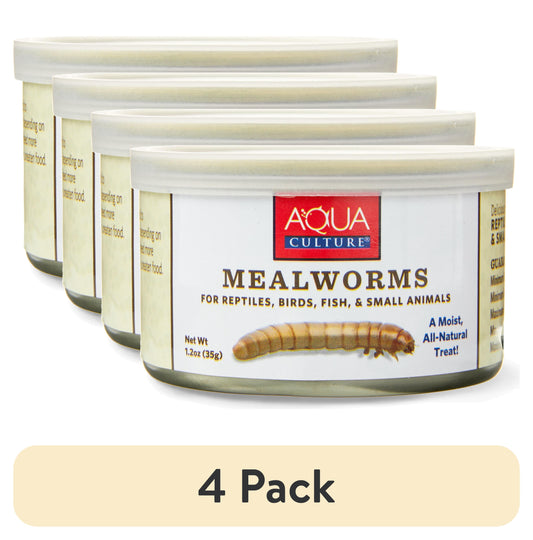 (4 Pack)  Mealworms for Reptiles, Birds, Fish, and Small Animals, 1.2 Oz