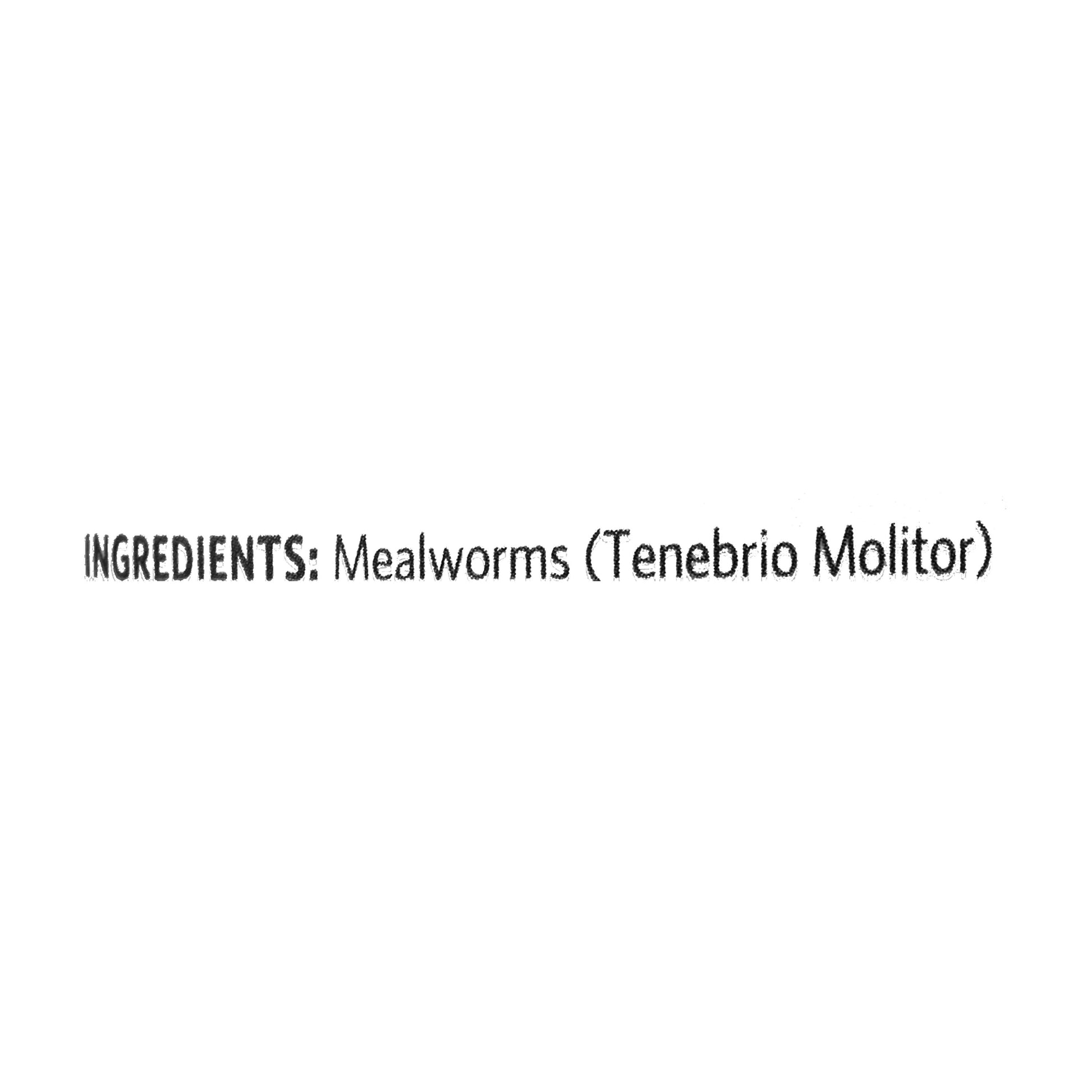 (4 Pack)  Mealworms for Reptiles, Birds, Fish, and Small Animals, 1.2 Oz