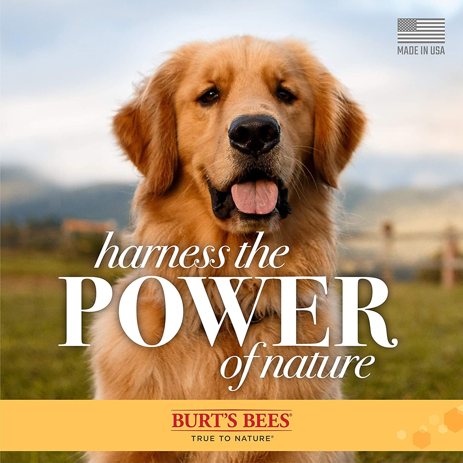 Multipurpose Dog Wipes with Honey