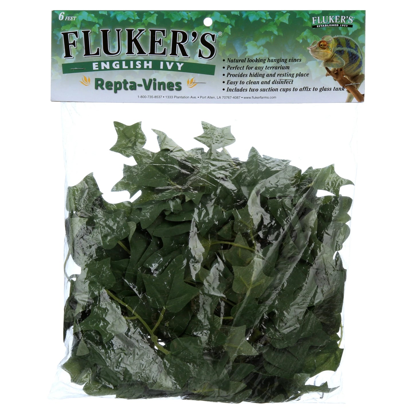 English Ivy Repta Vines Reptile Food