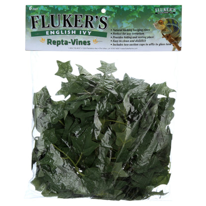 English Ivy Repta Vines Reptile Food
