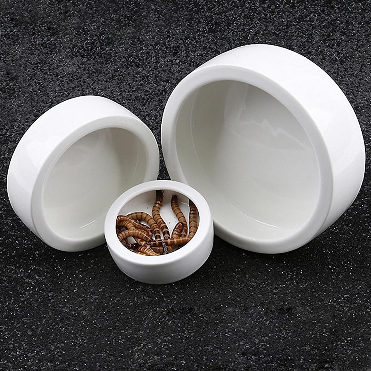 Worm Dish Mini Reptile Food Bowl Ceramics Made Mealworms Bowls Anti-Escape for Lizard Gecko Leopard Bearded Dragon (M)