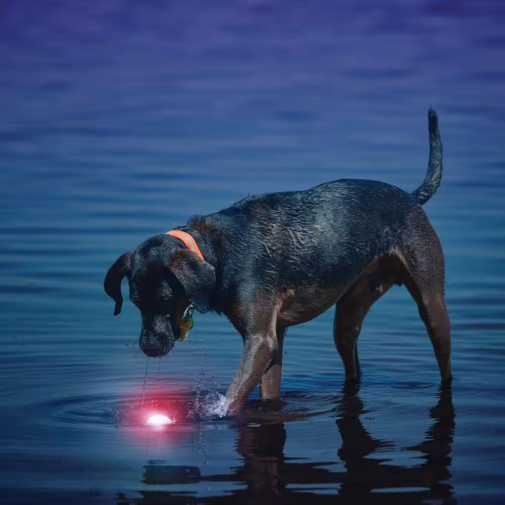 Glowstreak LED Red Ball Dog Toy