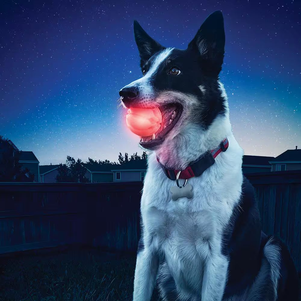 Glowstreak LED Red Ball Dog Toy