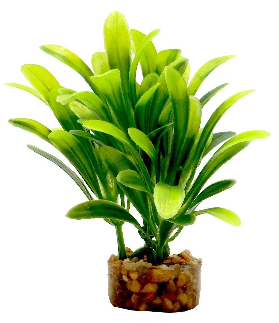 (6 Pack)  Value Aquarium Plant Decoration - Green