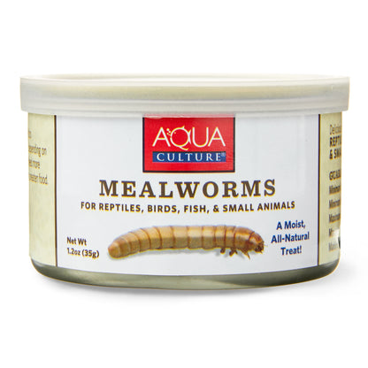 (4 Pack)  Mealworms for Reptiles, Birds, Fish, and Small Animals, 1.2 Oz