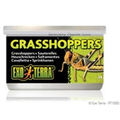 (2 Pack)  Grasshopper Reptile Food, Insects, 1.2 Oz. Can