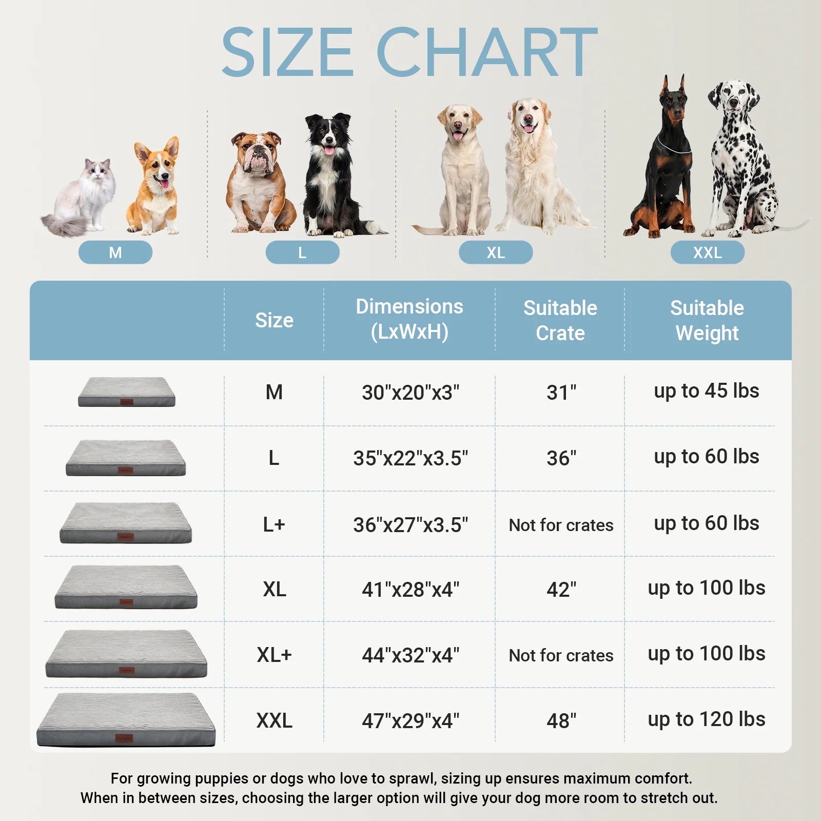 41In Gray Orthopedic Dog Bed for Large Dogs with Egg Crate Foam Support and Non-Slip Bottom, Waterproof and Machine Washable Removable Pet Bed Cover,Xl Size(41"X28"X4")