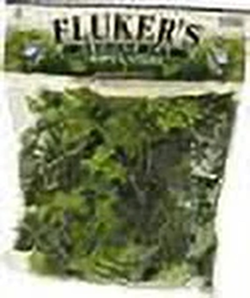 English Ivy Repta Vines Reptile Food