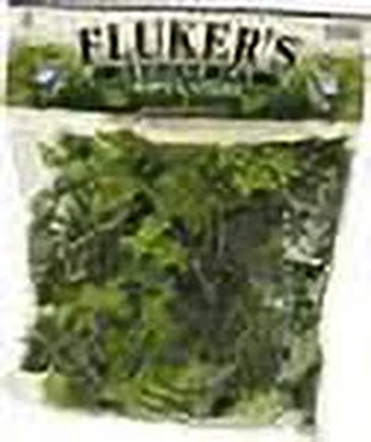 English Ivy Repta Vines Reptile Food